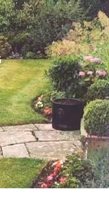 A tidy garden with a stone path and planted borders